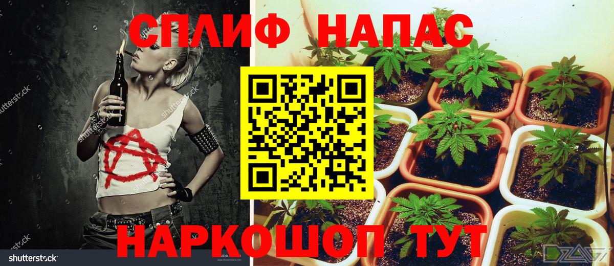 Канабис AK-47 Феодосия